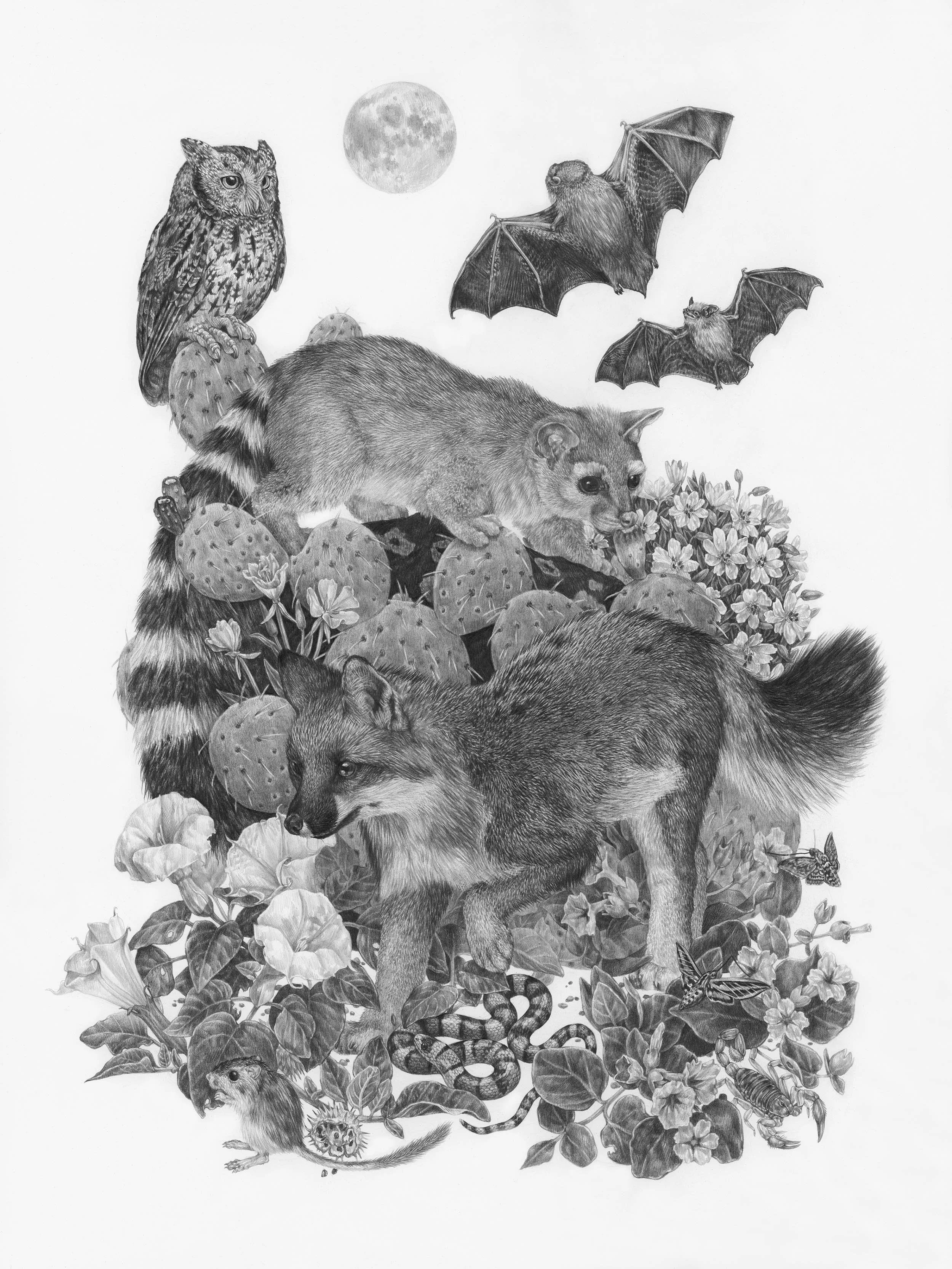 Zoe Keller 版画 Shop Partner Galleries — Zoe Keller Nature Art